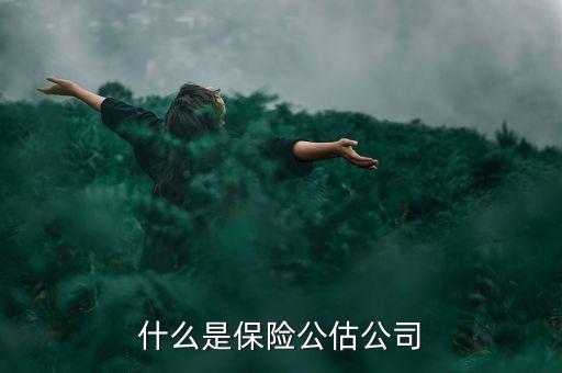 什么是承保公估，保險中的公估是什么概念