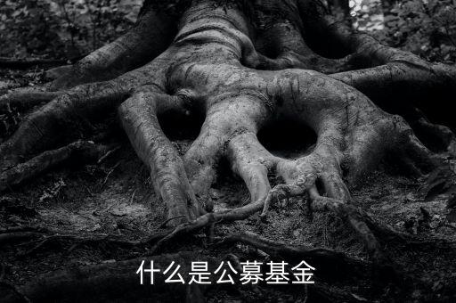 什么是公募基金，基金入門什么是公募基金