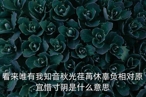 看來唯有我知音秋光荏苒休辜負(fù)相對原宜惜寸陰是什么意思