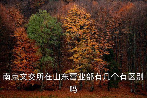 南京文交所在山東營(yíng)業(yè)部有幾個(gè)有區(qū)別嗎