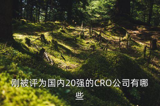 剛被評為國內(nèi)20強(qiáng)的CRO公司有哪些