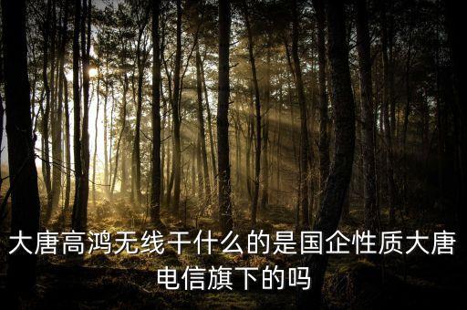 大唐電信是干什么的，成都大唐電信具體在什么位置待遇如何呢