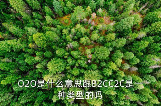 o2o米萊國(guó)際是什么，米萊國(guó)際 是做什么的