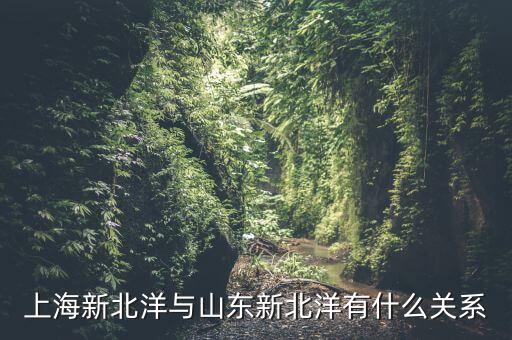 上海新北洋與山東新北洋有什么關(guān)系