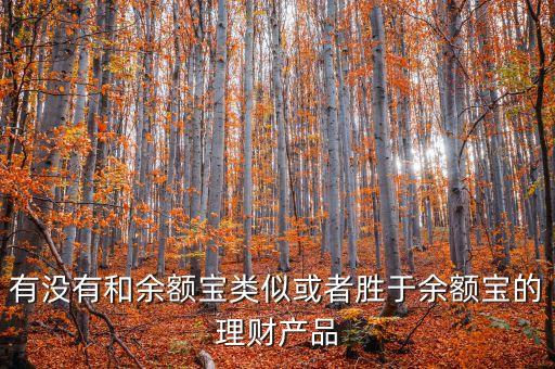 有沒有和余額寶類似或者勝于余額寶的理財(cái)產(chǎn)品