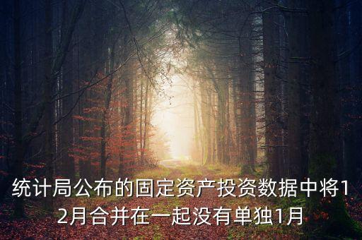 固定資產(chǎn)投資為什么沒(méi)有1月份數(shù)據(jù)怎么處理，上月購(gòu)進(jìn)一固定資產(chǎn)月初建賬時(shí)期初數(shù)據(jù)沒(méi)有將該固定資產(chǎn)錄入