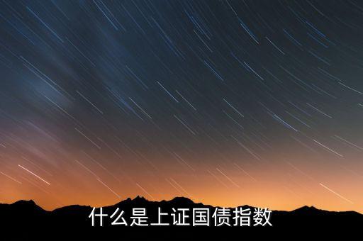 什么是上證國債指數(shù)