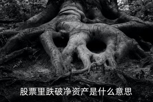跌破凈資產(chǎn)是什么意思，跌破凈資產(chǎn)是什么意思