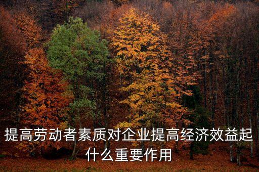 提高勞動(dòng)者素質(zhì)對(duì)企業(yè)提高經(jīng)濟(jì)效益起什么重要作用