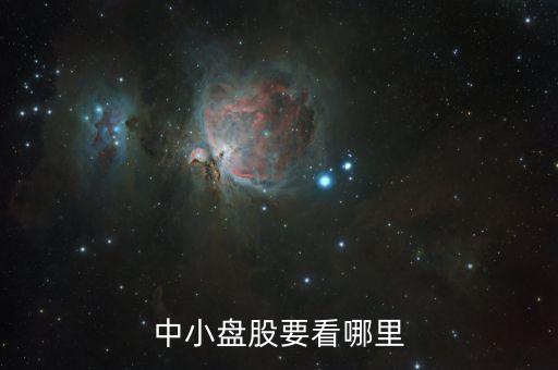 什么是中小盤股的代碼以什么開頭，中小板股票是以什么開頭的