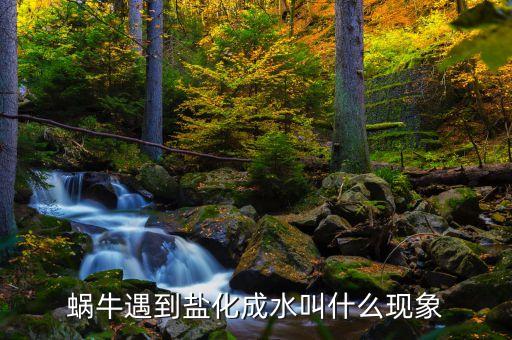 蝸牛遇到鹽化成水叫什么現(xiàn)象