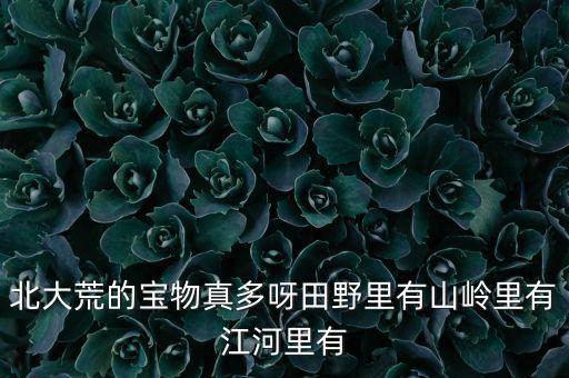 北大荒有豐富的什么，北大荒的寶物真多呀田野里有山嶺里有江河里有