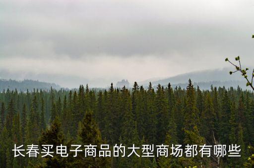 長春買電子商品的大型商場(chǎng)都有哪些