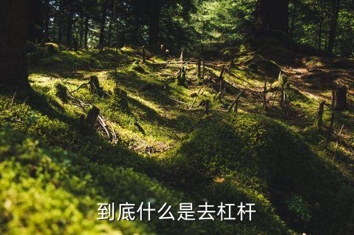 什么是去杠桿去產能，到底什么是去杠桿