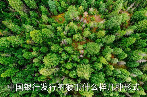 中國銀行發(fā)行的猴幣什么樣幾種形式