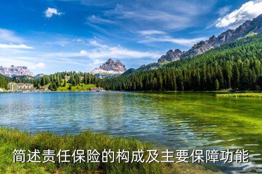簡(jiǎn)述責(zé)任保險(xiǎn)的構(gòu)成及主要保障功能