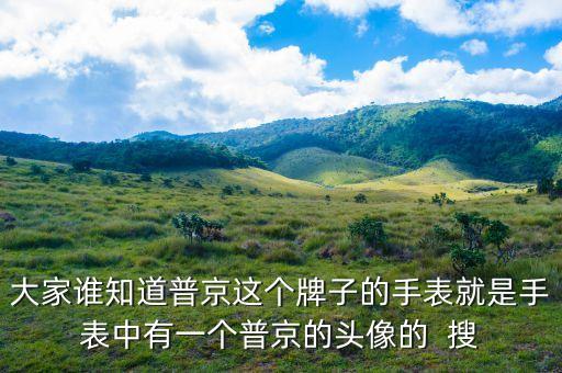普京皮帶是什么牌子，大家誰知道普京這個牌子的手表就是手表中有一個普京的頭像的  搜