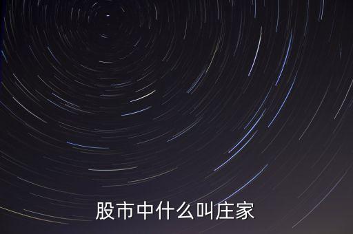 什么莊家股票，股票的莊家是指