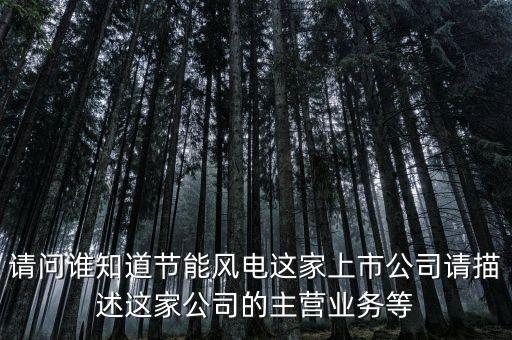 請問誰知道節(jié)能風(fēng)電這家上市公司請描述這家公司的主營業(yè)務(wù)等