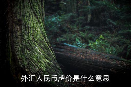 外幣兌換人民幣是什么，外幣兌換人民幣