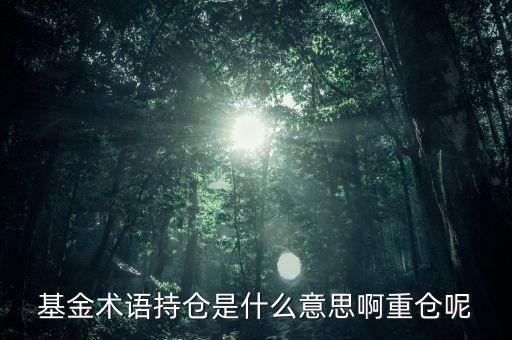 etf持倉是什么意思，基金術(shù)語持倉是什么意思啊重倉呢