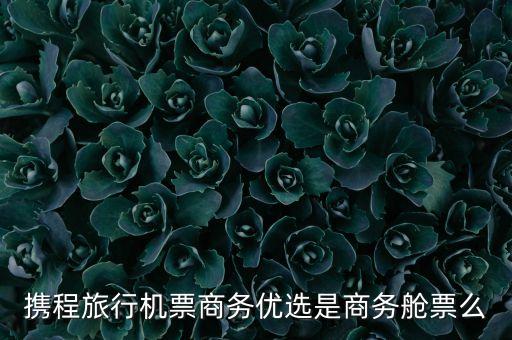 攜程旅行機(jī)票商務(wù)優(yōu)選是商務(wù)艙票么