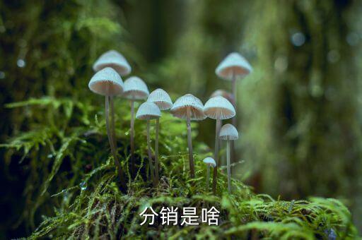 分銷權(quán)是什么，分銷是啥
