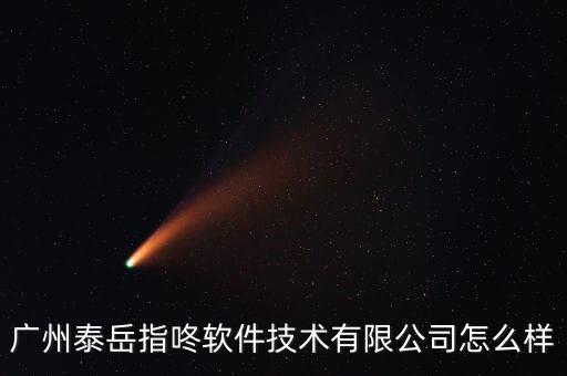廣州泰岳指咚軟件技術(shù)有限公司怎么樣