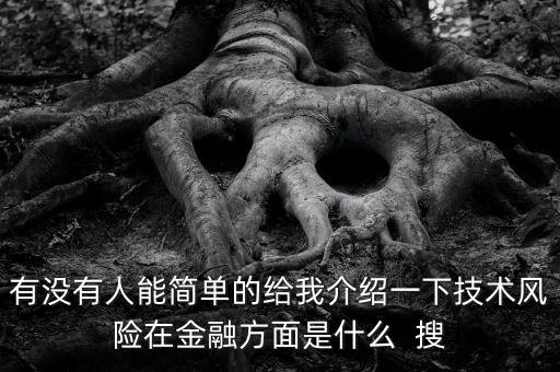 有沒有人能簡單的給我介紹一下技術風險在金融方面是什么  搜