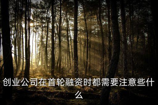 給創(chuàng)業(yè)公司第一輪投資應(yīng)注意什么，創(chuàng)業(yè)公司在首輪融資時都需要注意些什么