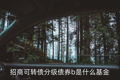 轉(zhuǎn)債b級是什么，招商可轉(zhuǎn)債分級債券b 場內(nèi)買入 場外賣出什么意思