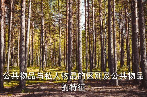 公共物品指什么，管理經(jīng)濟(jì)學(xué)中的公共物品是指什么