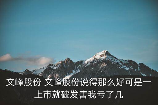 文峰股份是什么公司，文峰股份怎么樣