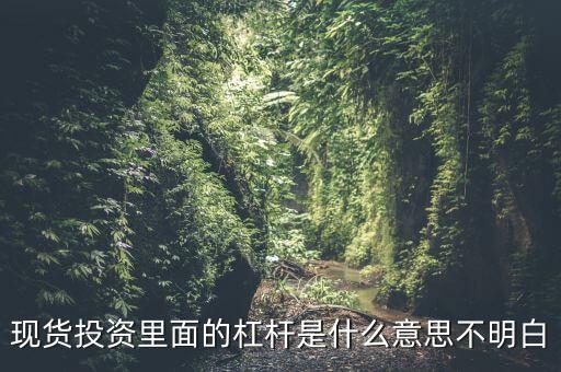 現(xiàn)貨投資里面的杠桿是什么意思不明白