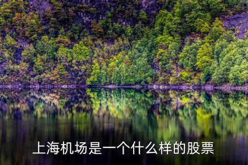 上海機(jī)場(chǎng)股票屬于什么股票，上海機(jī)場(chǎng)屬于什么行業(yè)的股票