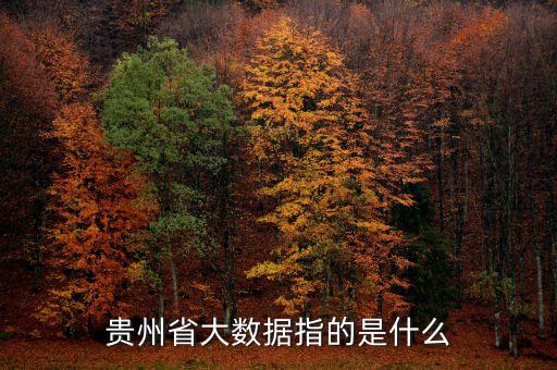 貴州大數(shù)據(jù)是做什么的，貴州省大數(shù)據(jù)指的是什么