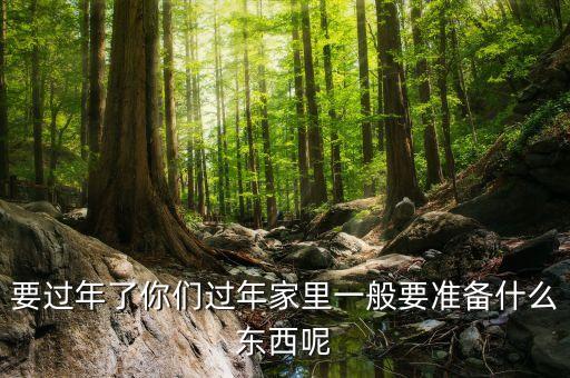 要過年了你們過年家里一般要準(zhǔn)備什么東西呢