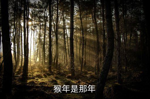 猴年是那年