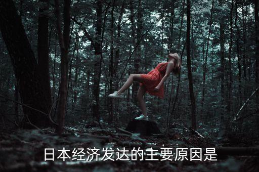 日本為什么經(jīng)濟，日本為什么經(jīng)濟如此發(fā)達