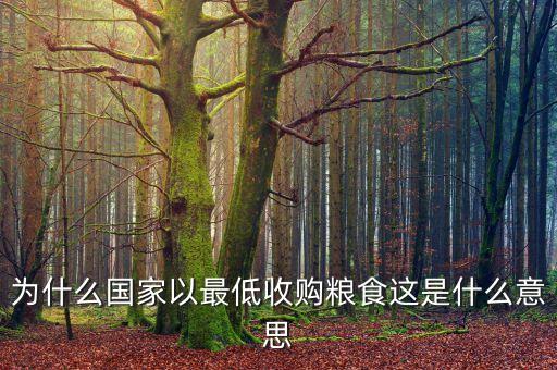 為什么國家以最低收購糧食這是什么意思