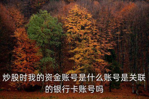 炒股時我的資金賬號是什么賬號是關(guān)聯(lián)的銀行卡賬號嗎