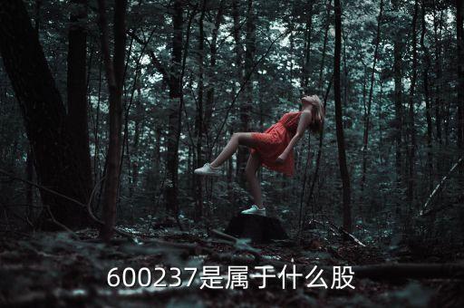 600237是屬于什么股