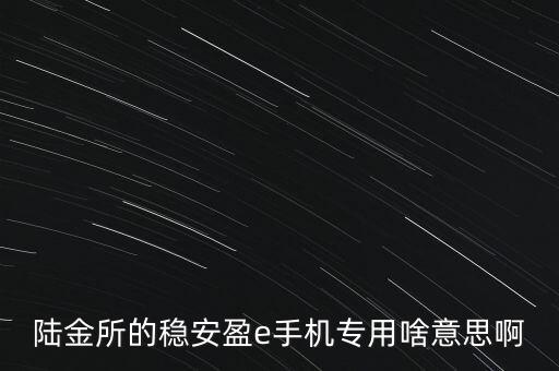 穩(wěn)盈安e36個(gè)月是什么意思，陸金所的穩(wěn)安盈e手機(jī)專用啥意思啊