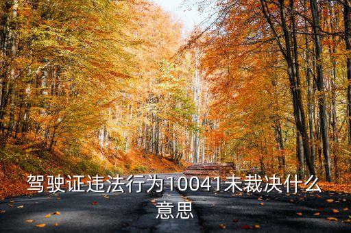 駕駛證違法行為10041未裁決什么意思