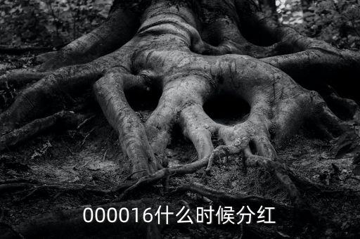 000016什么時(shí)候分紅