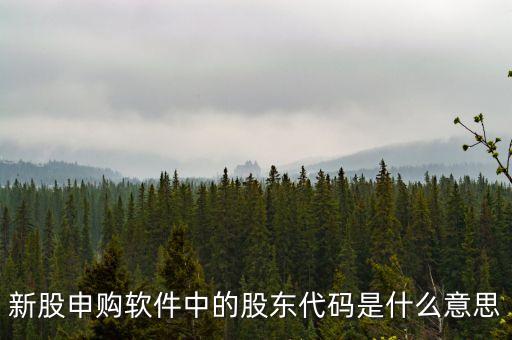新股申購軟件中的股東代碼是什么意思