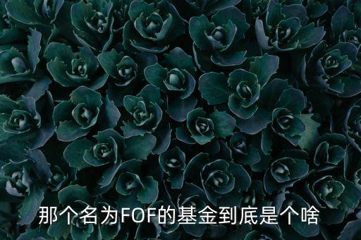 那個名為FOF的基金到底是個啥