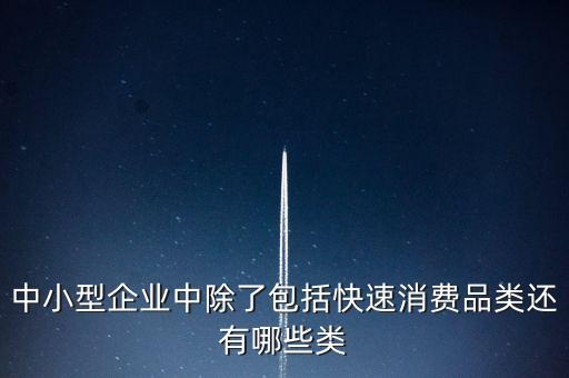 除了小微企業(yè)還有什么企業(yè)，中小型企業(yè)中除了包括快速消費(fèi)品類還有哪些類