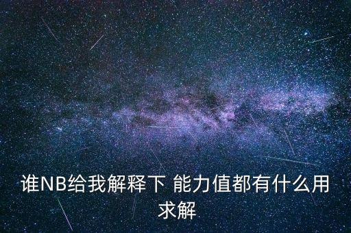 誰NB給我解釋下 能力值都有什么用 求解