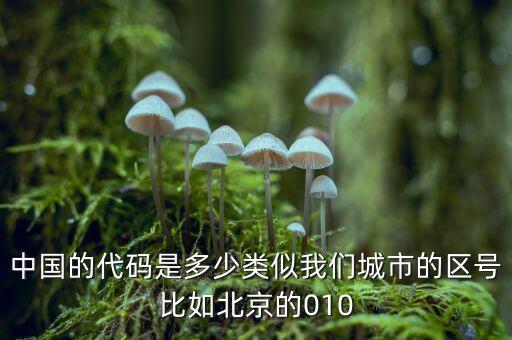 中國(guó)的代碼是多少類似我們城市的區(qū)號(hào)比如北京的010